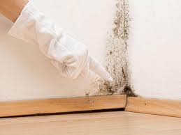 Best Attic Mold Removal  in Granville, WV